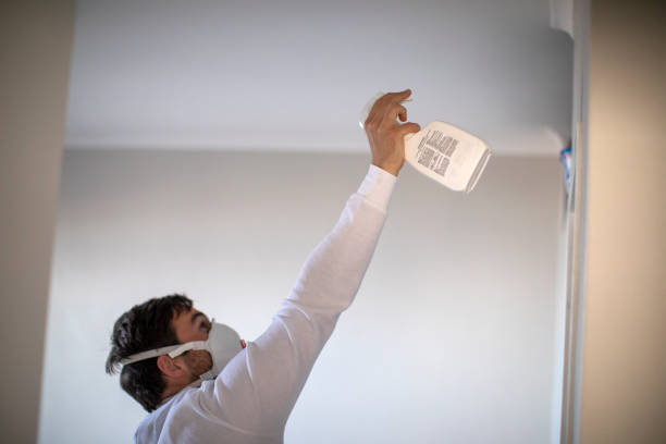 Professional Mold Remediation in Milford Mill, MD