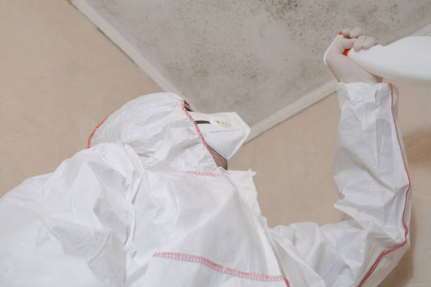 Best HVAC Mold Remediation in Milford Mill, MD