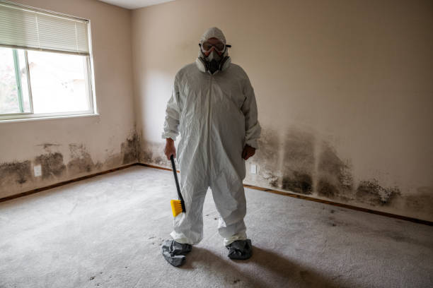 Best Post-Flood Mold Remediation in Milford Mill, MD